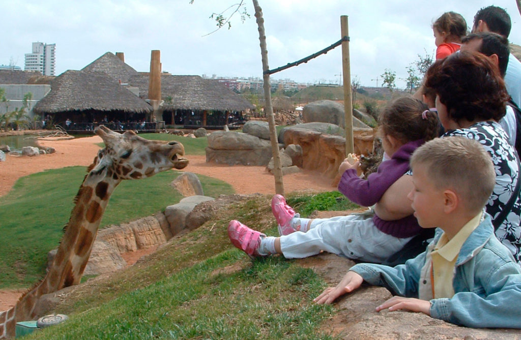 amusement-logic-parques-de-animales-14