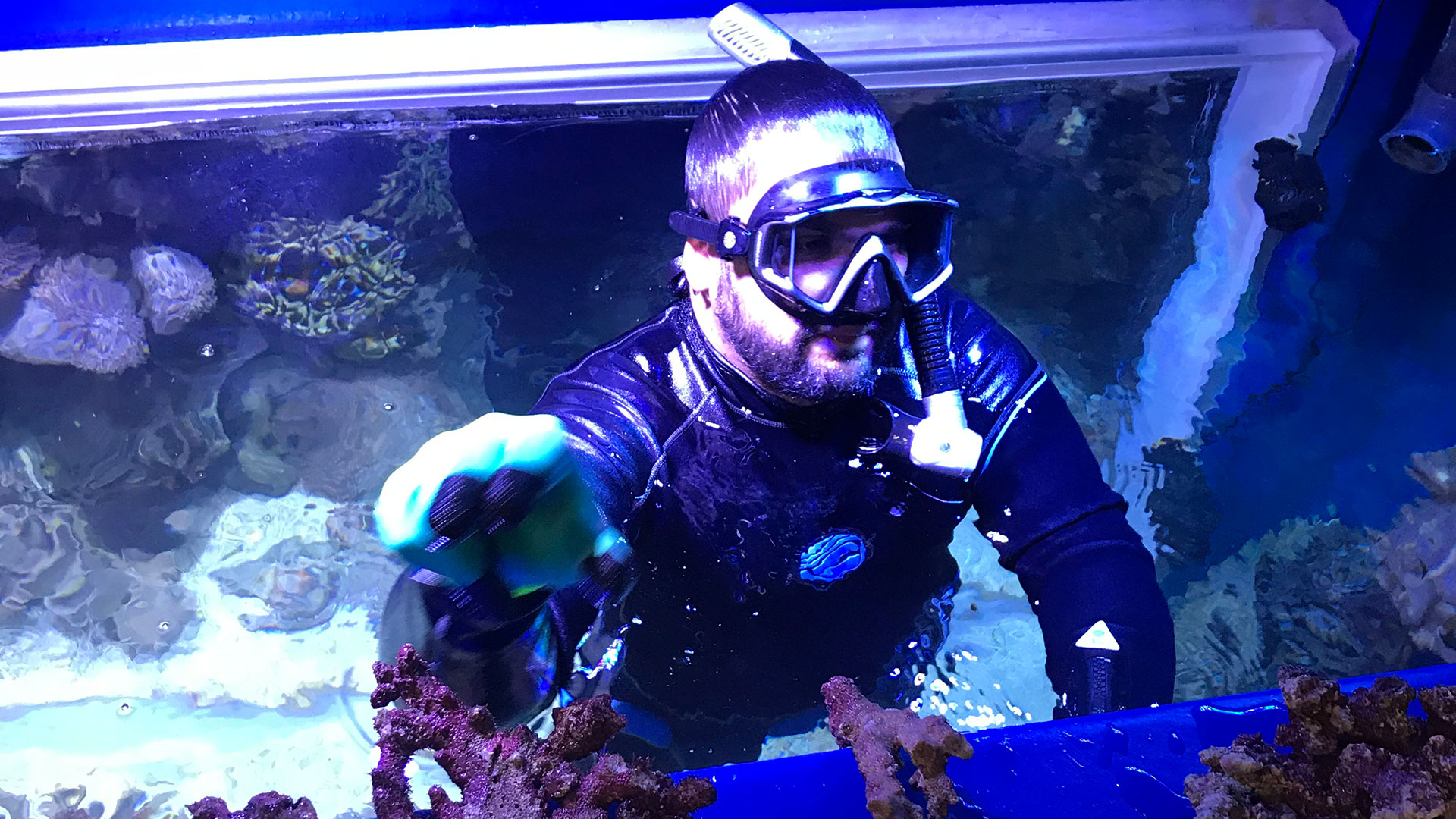 Manuel Romeo, aquariophile principal à l’Aquarium d’Oman