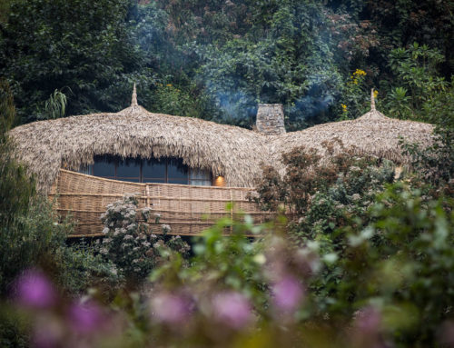 Hôtels du monde : Bisate Lodge, Rwanda (+VIDEO)
