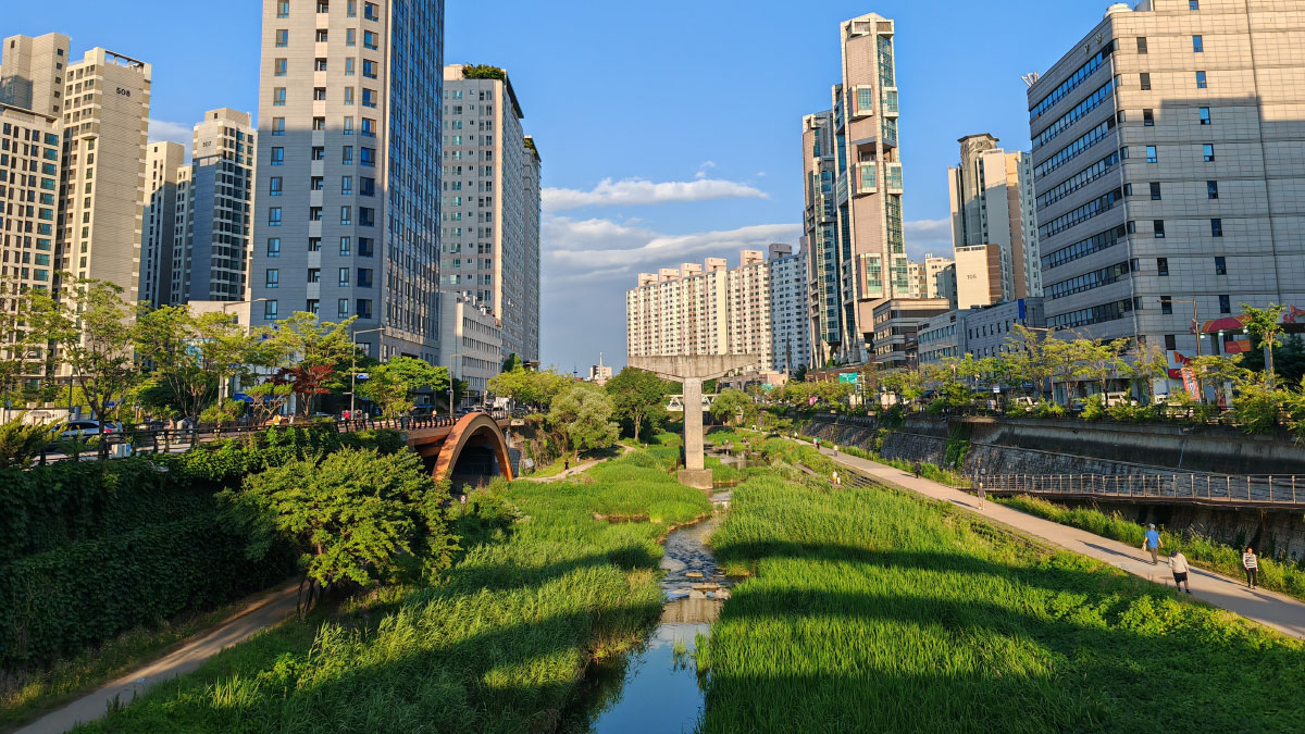 Renaturation urbaine : Cheonggyecheon, Séoul, Corée du Sud