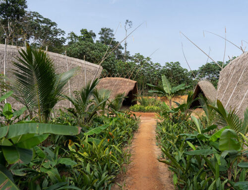 Architecture à la main: Village de Warka, Cameroun, Afrique