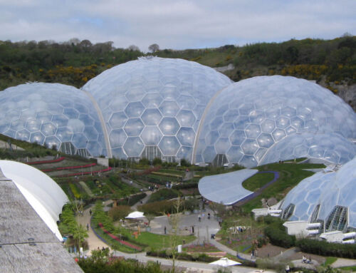 Biodomes dans le désert : l’architecture comme frontière climatique dans les Émirats arabes unis