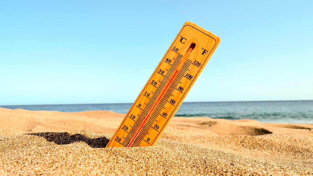 Les abris climatiques, la réponse à l’« îlot de chaleur urbain ».