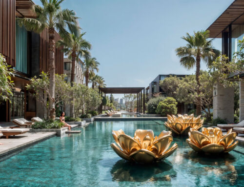 Lotus doré, piscine d’un hôtel resort de rêve