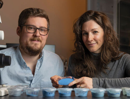 Bleu égyptien, le pigment perdu des pharaons