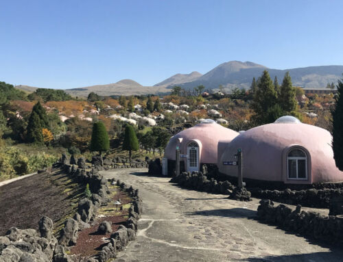 Tourisme unique à Aso Farm Land