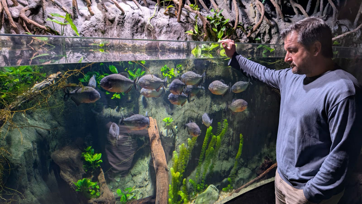 Interview-with-Alejandro-Beneit-03