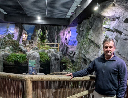 Entretien avec Alejandro Beneit, directeur général du BIOPARC Aquarium de Gijón