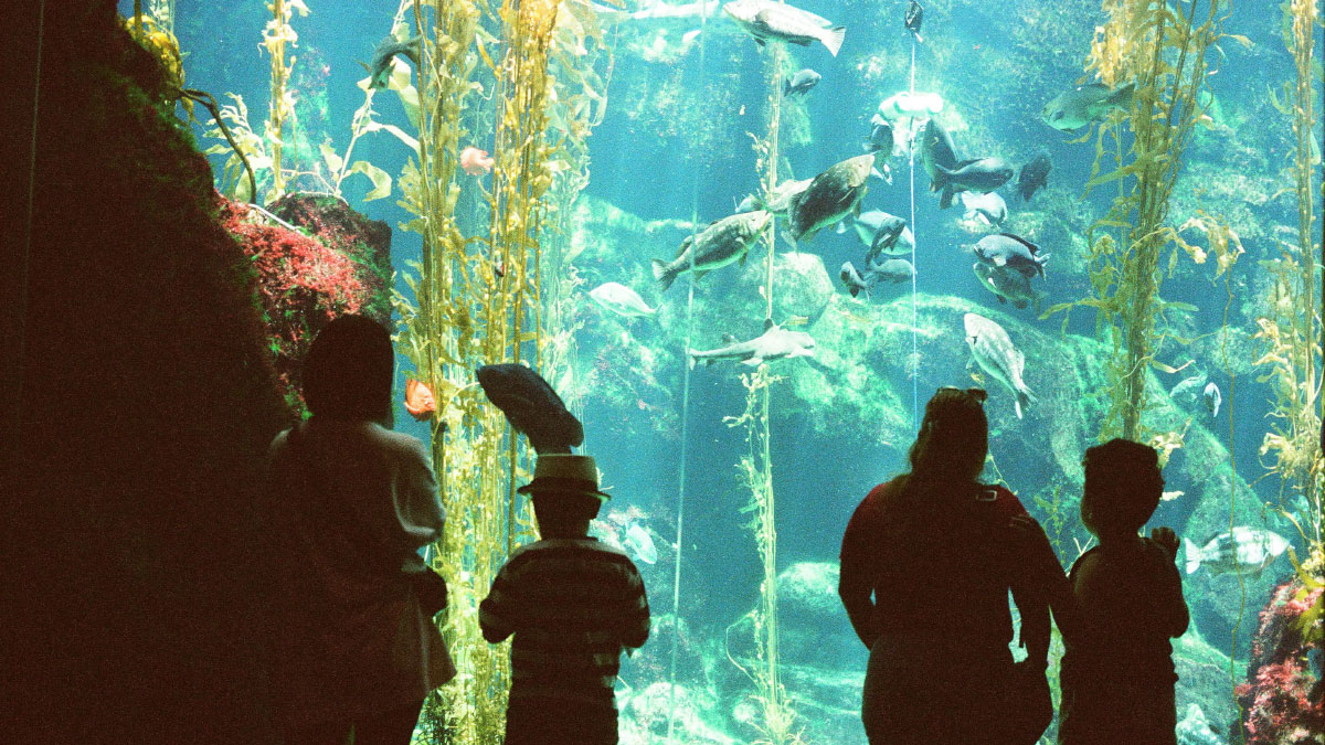 Progrès dans le projet de musée sous-marin d’Abu Dhabi