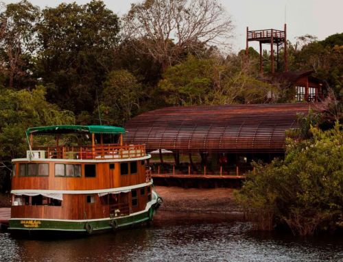 Hôtels du monde : Mirante do Gavião Amazon Lodge, Novo Airão, Amazonas, Brésil