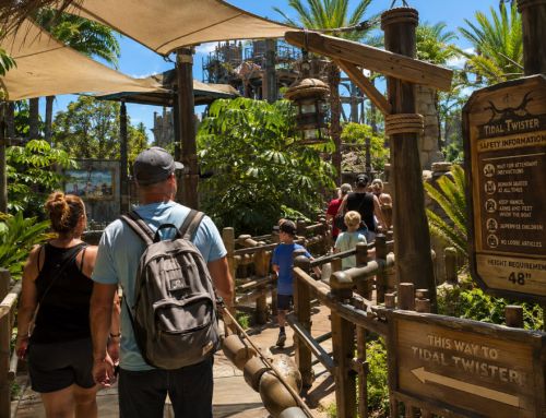 Quand l&rsquo;attente devient une attraction dans un parc à thème